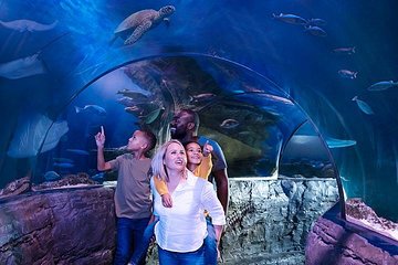 SEA LIFE London Aquarium Admission Ticket